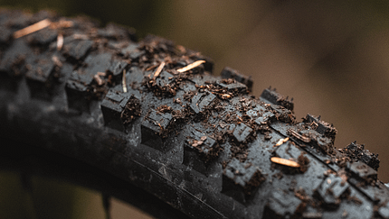 Neue Nomenklatur bei Schwalbe