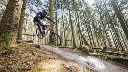 Mountainbiker mit Fullface-Helm auf einem Trail im Wald, springt über eine Bodenwelle. Aufnahme im Bikepark Beerfelden.