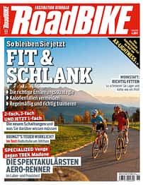 rb-1115-11_2015-RB--Titel-(PDF-Datei)-1.jpg