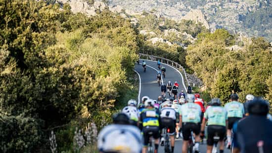 Mallorca312,Rad-Event,Serpentinen