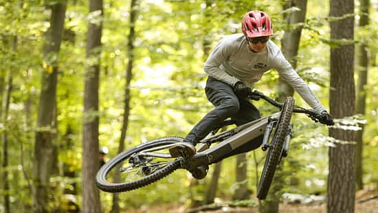 Das Rose File Plus ist das erste Light-E-Fully des deutschen Versenders.