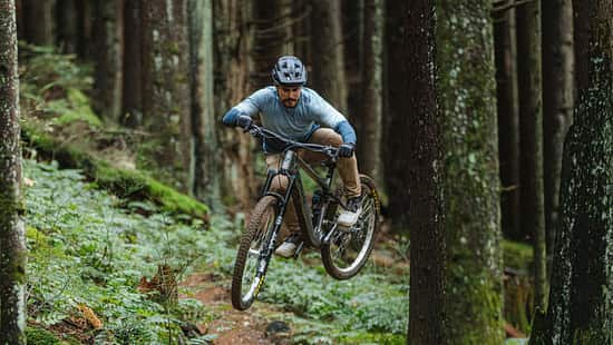 Das Norco Sight VLT TQ auf dem Trail.