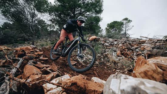 Specialized Turbo Levo R S-Works (2026)