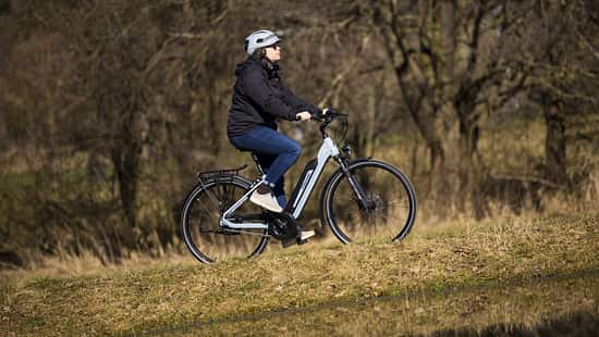 Das Fischer CITA 2404 im Detail genauestens geprüft!