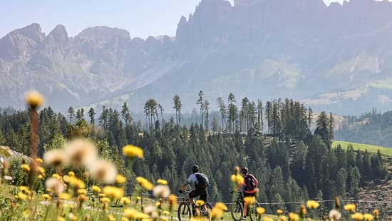 Südtirol,Bergpanorama,Blühende Wiese