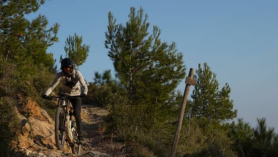 Die neue Fox 40 für die Saison 2026.