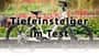 Die besten Tiefeinsteiger im Test!