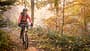 Young woman mountain biker in the forest at dawn