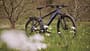 Canyon Pathlite:ONfly im Test!