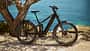 Trek Allant+ FS