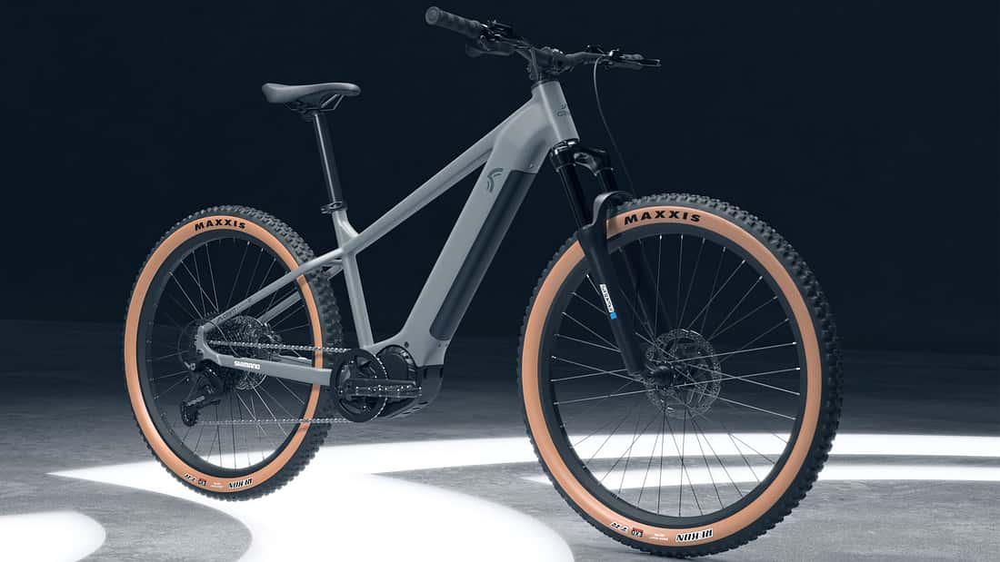 bulls fahrradständer ZFZFC für E-Stream EVO AM3 2022, Aluminium Verstellbarer Fahrradständer Fahrrad Kickstand für Mountainbike Cityrad Sport & Freizeit Fisch richtig auftauen – Größe:Normal e-bike shimano 6 velocidades