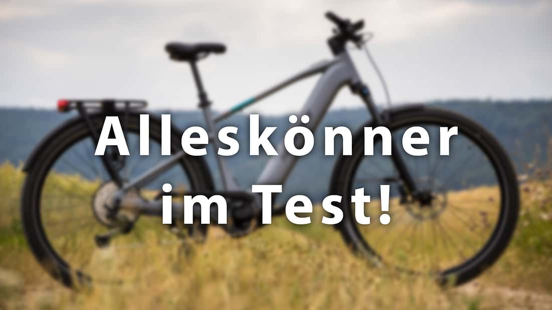 fahrradanhänger auf kupplung WEIDEBACH® Fahrradanhänger-Kupplung Ø 2,35–3,05 cm, verzinktes Eisen Lastenräder im Test: E-Cargobikes dot bag Farbe:Lila Camouflage