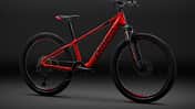 UB Orbea eMX E-Bike für Kinder