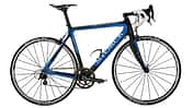 RB Storck Absolutist