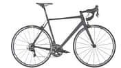 rb-0217-rose-x-lite-crs-4400-benjamin-hahn (jpg)