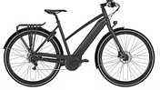 UB Pedelec Gazelle 2018 CityZen C8+HMB