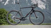 rb-0916-maxi-rose-xeon-stratmann-8633 TEASER