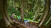 mb-1017-kitzbuehler-alpen-03-andreas-kern (jpg)