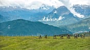 mb-0917-monte-grappa-04-andreas-kern (jpg)