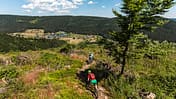 MB_1016_Baiersbronn_Kern-8006.jpg_V (jpg)