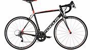 RB-0415-Carbon-2000-Test-Focus-Cayo-4.0 (jpg)