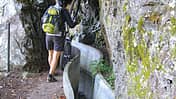 MTB-Madeira-91 (jpg)
