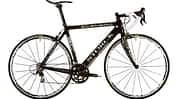 RB 0413 Storck Scenero