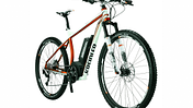 ub-e-bike-neuheiten-2013-kreidler-Kreidler_Vitality_Dice_29er_pers_Vorne (jpg)
