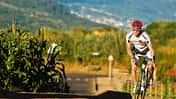 RB 0210 Teneriffa 4 Ausschnitt