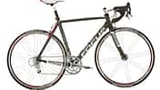 RB Focus Cayo Expert Athena