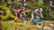 MB-0718-all-mountain-test-teaser (jpg)