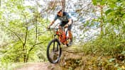 MB Scott Ransom 2019 Teaser