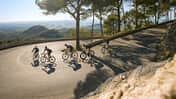RB 0219 Top Spots Mallorca Tour 8 Petra Teaser