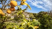 RB 0219 Top Spots Mallorca Tour 9 Einmal um die Insel Teaser