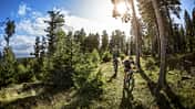 MB 1117 Sampler Biken in Deutschland Taunus Feldberg