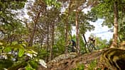 mb-1017-biken-in-deutschland-pfaelzerwald-christian-penning (jpg)
