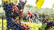 rb-1015-reise-toskana-bjoern-haenssler-tour4