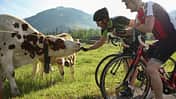 RB-0915-Reise-Gstaad-Kilian-Kreb-010IMG_8034.JPG