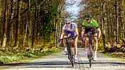 RB-0514-Marathon-Rennrad-Test-Teaser