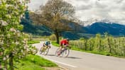 rb-bikehotels-suedtirol-feb-2019-kirsten-soerries-fruehling1-teaser