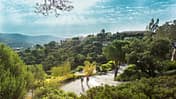 RB 0417 Reise Cote d'Azur Frankreich Touren Teaser Aufmacher
