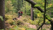 Flowtrail Kreuzberg