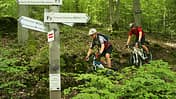MB 0514 Spessart Teaserbild