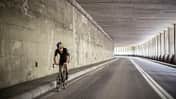 RB Patrick Seabase Fixie