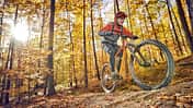 MB 0119 Trail Hardtail Radon Cragger 7.9 Produktbild