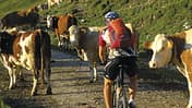 MB Achensee Juifen-Tour