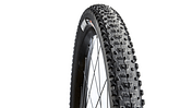 mb-0619-reifen-test-maxxis-rekon (jpg)