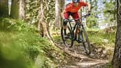 Specialized Stumpjumper