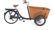 ELEKTROBIKE Katalog 2020 - Cargobikes