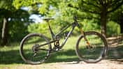 Propain Tyee CF 29